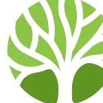Black Pool  Tree Surgeon